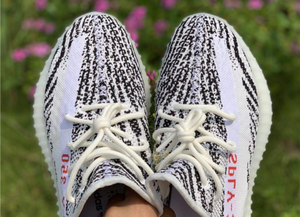 Yezzy Boost 350 Vz Zebra