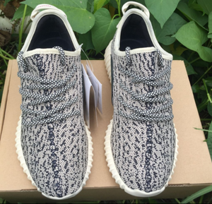 Yeezy Boost 350 V2 Turtle Dove